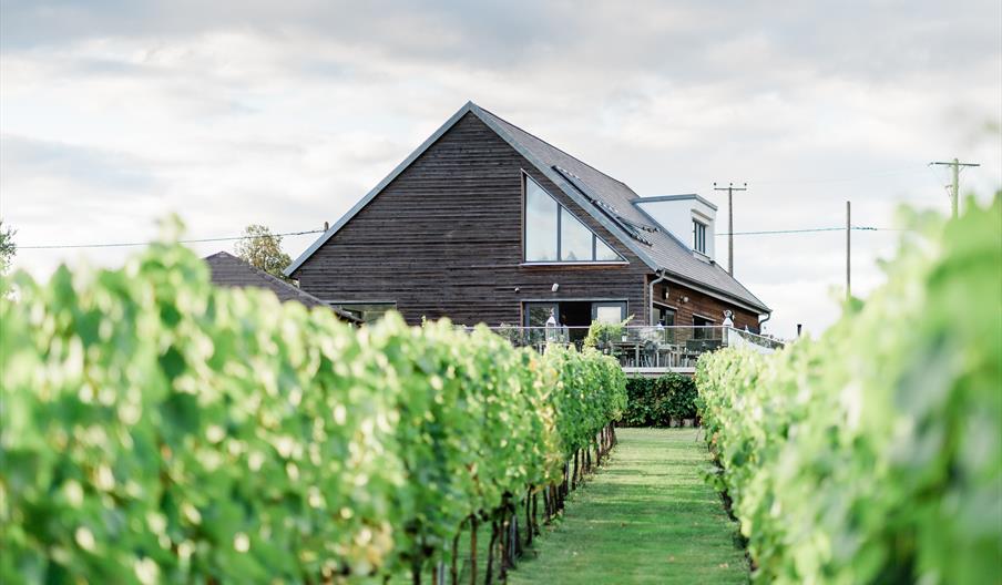 restored barn inside green vineyard