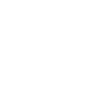 white plan graphic